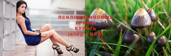 ECSTASY Верея
