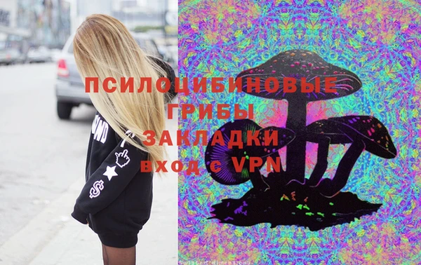 mix Богородицк