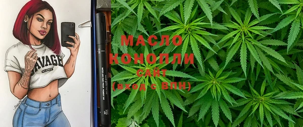 mix Богородицк