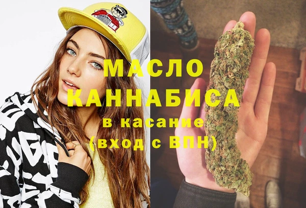mix Богородицк