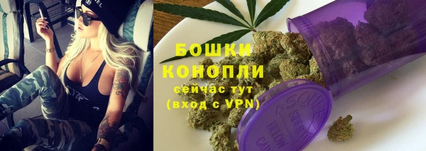 СК Богородск